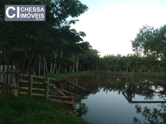 Imagem Terreno à Venda, 13.817 m² em Arraial Dos Cunhas - Itajaí Imagem Terreno à Venda, 13.817 m² em Arraial Dos Cunhas - Itajaí