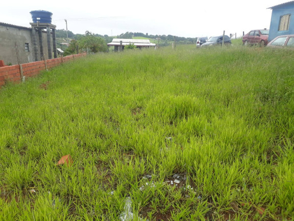 Imagem Terreno à Venda, 250 m² em Juruparazinho - Piedade Imagem Terreno à Venda, 250 m² em Juruparazinho - Piedade