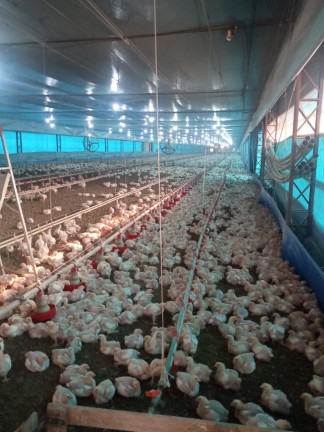 Imagem Imóvel à Venda, 6 m² em Boa Vista Dos Silva - Bragança Paulista Imagem Imóvel à Venda, 6 m² em Boa Vista Dos Silva - Bragança Paulista