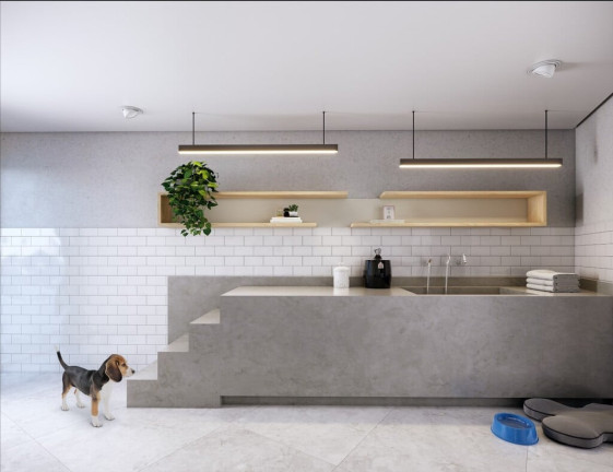 Imagem Apartamento com 2 Quartos à Venda, 90 m² em Vila Mascote - São Paulo