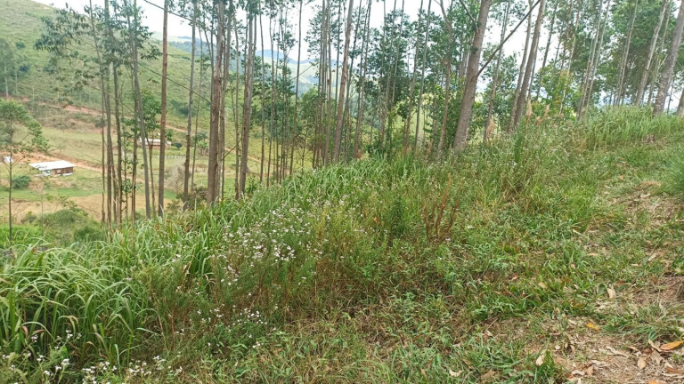 Imagem Chácara com 4 Quartos à Venda, 500 m² em Centro - Paraibuna