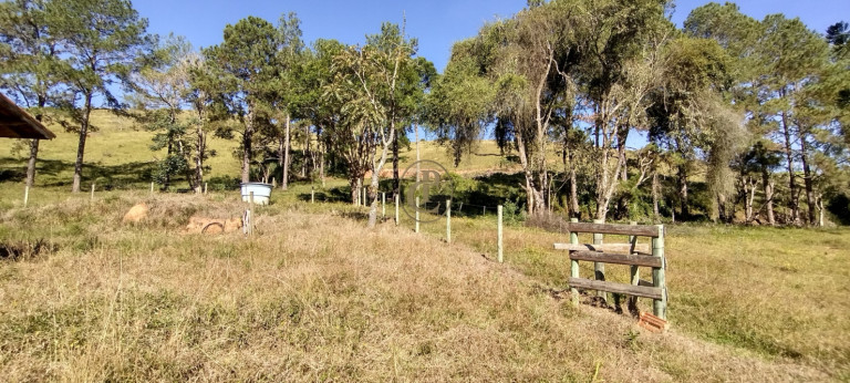 Imagem Chácara com 3 Quartos à Venda, em Curralinho - Lagoinha Imagem Chácara com 3 Quartos à Venda, em Curralinho - Lagoinha