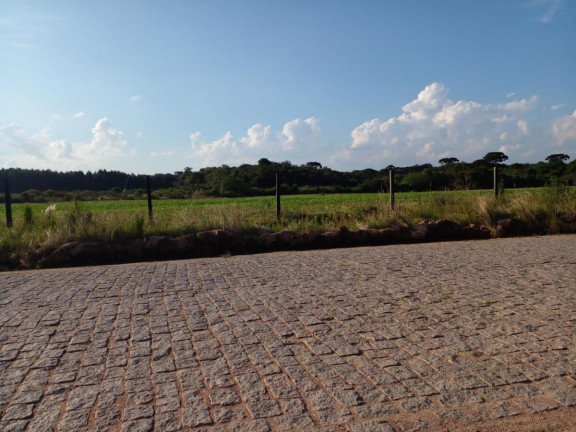 Imagem Terreno à Venda, 20.000 m² em Campo Largo Da Roseira - São José Dos Pinhais Imagem Terreno à Venda, 20.000 m² em Campo Largo Da Roseira - São José Dos Pinhais