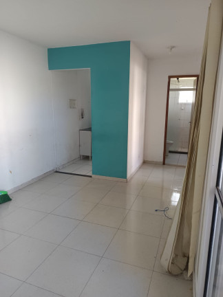 Imagem Apartamento com 2 Quartos à Venda, 50 m² em Jardim ísis - Cotia Imagem Apartamento com 2 Quartos à Venda, 50 m² em Jardim ísis - Cotia