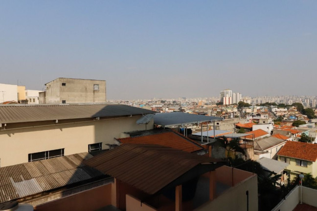 Imagem Apartamento com 3 Quartos à Venda, 79 m² em Casa Verde Alta - São Paulo Imagem Apartamento com 3 Quartos à Venda, 79 m² em Casa Verde Alta - São Paulo