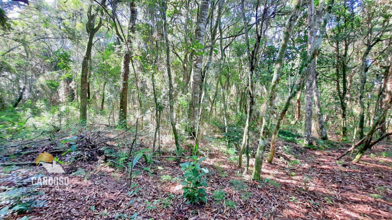 Imagem Fazenda à Venda, 12.000 m² em Morro Grande - Viamão Imagem Fazenda à Venda, 12.000 m² em Morro Grande - Viamão