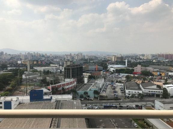 Imagem Sala Comercial para Alugar, 34 m² em Várzea Da Barra Funda - São Paulo Imagem Sala Comercial para Alugar, 34 m² em Várzea Da Barra Funda - São Paulo