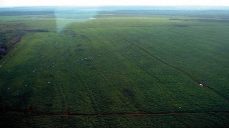 Imagem Chácara à Venda, 103.000 m² em Centro - Acorizal Imagem Chácara à Venda, 103.000 m² em Centro - Acorizal