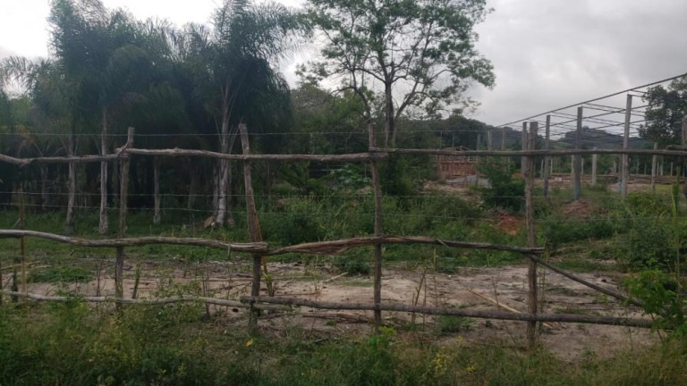 Imagem Imóvel à Venda, 2.000 m² em Guaratiba - Rio De Janeiro Imagem Imóvel à Venda, 2.000 m² em Guaratiba - Rio De Janeiro