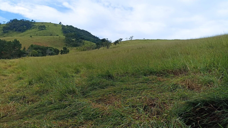 Fazenda à Venda, 200 m² em Lajeado - Paraibuna