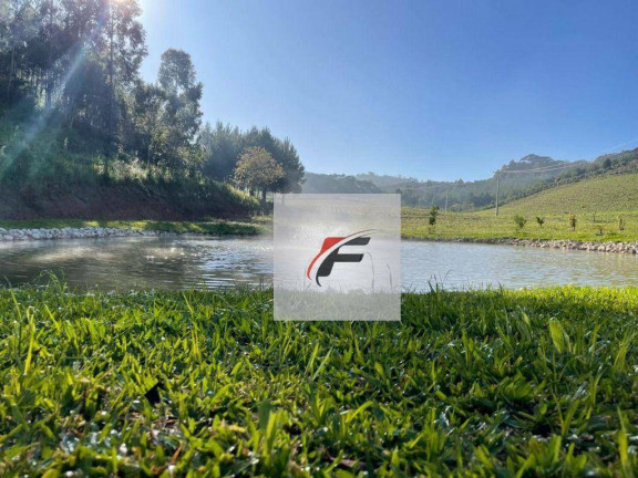 Imagem Chácara com 2 Quartos à Venda, 28.000 m² em Bacaetava - Colombo Imagem Chácara com 2 Quartos à Venda, 28.000 m² em Bacaetava - Colombo