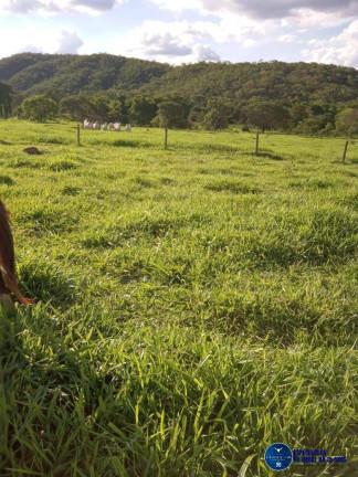 Imagem Fazenda à Venda, 190 m² em Zona Rural - Caldas Novas Imagem Fazenda à Venda, 190 m² em Zona Rural - Caldas Novas