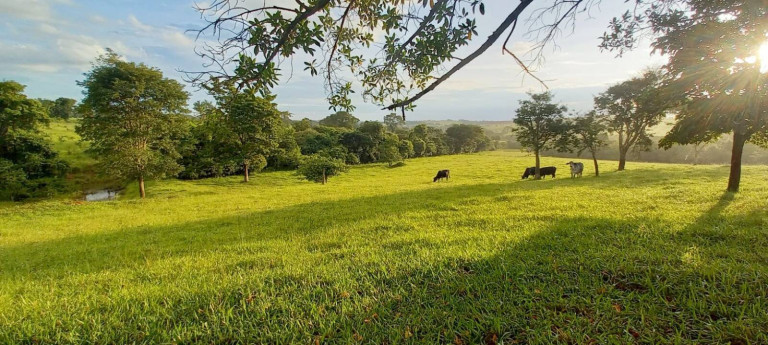 Imagem Chácara com 1 Quarto à Venda, 2 m² em Zona Rural - Bela Vista De Goiás