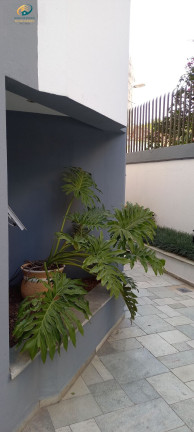 Imagem Apartamento com 2 Quartos à Venda, 54 m² em Vila Guarani (z Sul) - São Paulo
