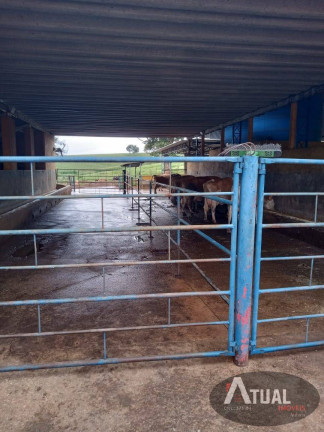 Imagem Fazenda à Venda, 109 m² em Centro - Pouso Alegre