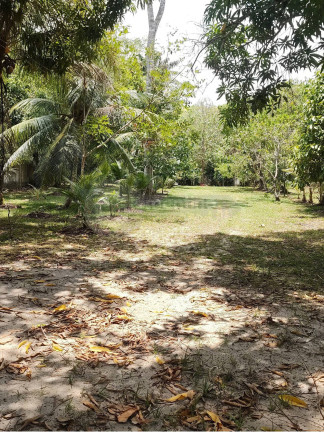 Imagem Chácara com 4 Quartos à Venda, 5.800 m² em Tarumã-açu - Manaus