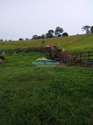 Imagem Imóvel com 1 Quarto à Venda, 11 m² em Zona Rural - Borda Da Mata Imagem Imóvel com 1 Quarto à Venda, 11 m² em Zona Rural - Borda Da Mata