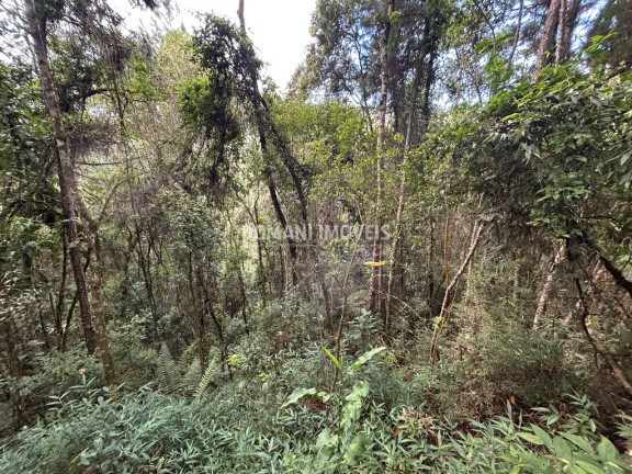 Imagem Terreno à Venda, 5.820 m² em Região Do Parque Da água Santa - Campos Do Jordão Imagem Terreno à Venda, 5.820 m² em Região Do Parque Da água Santa - Campos Do Jordão
