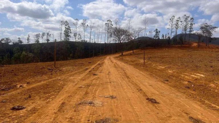 Imagem Chácara à Venda, 1.000 m² em Bom Jesus Do Galho