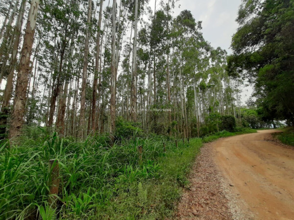 Imagem Fazenda à Venda, 127.997 m² em Pacotuba - Almirante Tamandaré