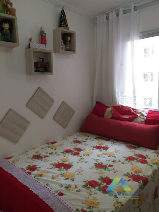 Imagem Apartamento com 2 Quartos à Venda, 55 m² em Vila Liviero - São Paulo Imagem Apartamento com 2 Quartos à Venda, 55 m² em Vila Liviero - São Paulo