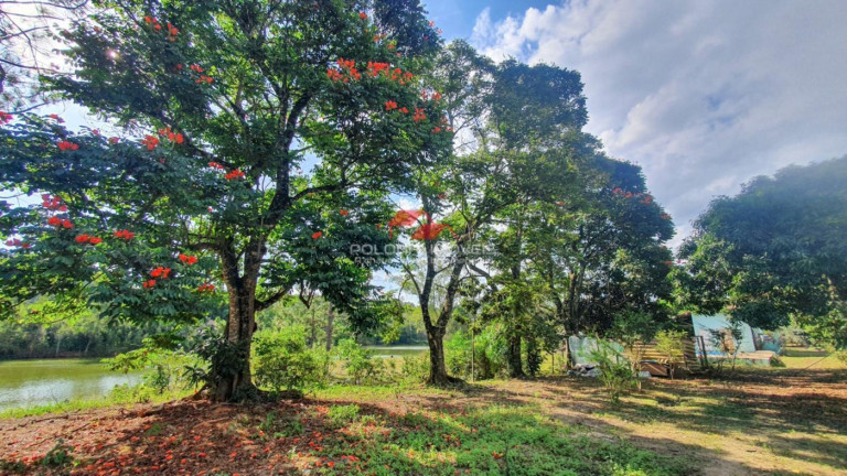 Imagem Chácara com 2 Quartos à Venda, 30.500 m² em Batatuba - Piracaia Imagem Chácara com 2 Quartos à Venda, 30.500 m² em Batatuba - Piracaia