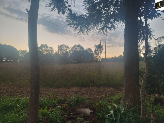Imagem Imóvel com 3 Quartos à Venda, 48.400 m² em Colônia Murici - São José Dos Pinhais Imagem Imóvel com 3 Quartos à Venda, 48.400 m² em Colônia Murici - São José Dos Pinhais