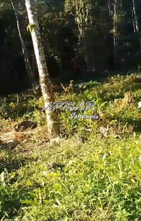 Imagem Terreno à Venda, em Jardim Imperador - Praia Grande Imagem Terreno à Venda, em Jardim Imperador - Praia Grande