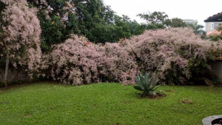 Imagem Casa de Condomínio com 8 Quartos à Venda, 1.340 m² em Barra Da Tijuca - Rio De Janeiro
