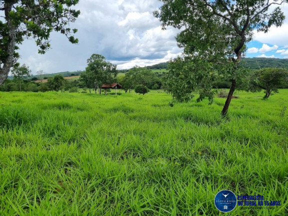 Imagem Chácara à Venda, 2 m² em Zona Rural - Santa Cruz De Goiás Imagem Chácara à Venda, 2 m² em Zona Rural - Santa Cruz De Goiás