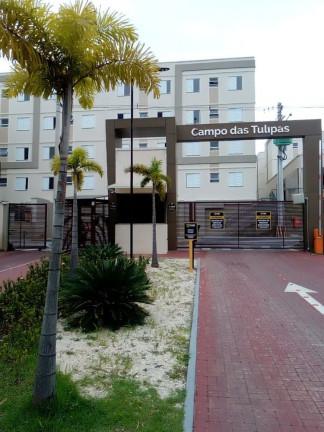 Apartamento com 2 Quartos para Alugar, 50 m² em Jardim Copacabana - São José Dos Campos
