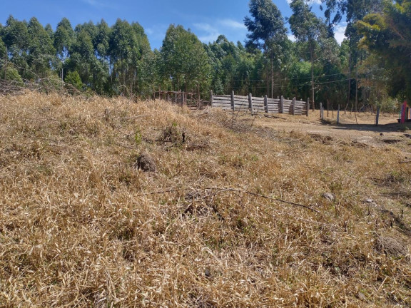 Imagem Chácara à Venda, 1.000 m² em Pocinhos Do Rio Verde - Caldas Imagem Chácara à Venda, 1.000 m² em Pocinhos Do Rio Verde - Caldas