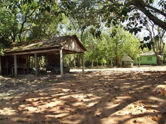 Imagem Chácara com 1 Quarto à Venda, 11 m² em águas Claras - Viamão