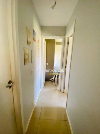 Imagem Apartamento com 2 Quartos à Venda, 41 m² em Cambuci - São Paulo Imagem Apartamento com 2 Quartos à Venda, 41 m² em Cambuci - São Paulo