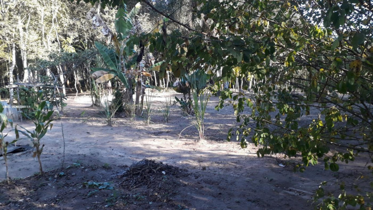Imagem Imóvel à Venda, 500 m² em Vila Caputera - Mogi Das Cruzes