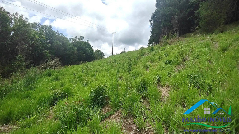 Imagem Chácara à Venda, 20 m² em Centro - Camanducaia