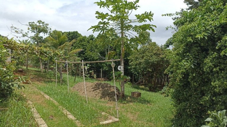 Imagem Chácara com 6 Quartos à Venda, 550 m² em Centro - Paraibuna