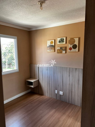 Imagem Apartamento com 2 Quartos à Venda, 60 m² em Jardim Petrópolis - Cotia Imagem Apartamento com 2 Quartos à Venda, 60 m² em Jardim Petrópolis - Cotia