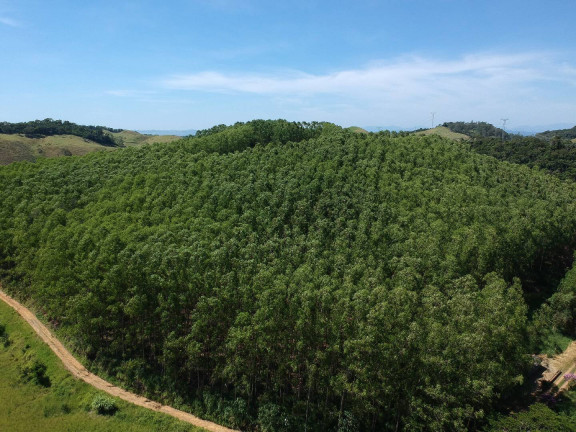 Imagem Chácara à Venda, 16 m² em Ipiabas - Barra Do Piraí Imagem Chácara à Venda, 16 m² em Ipiabas - Barra Do Piraí