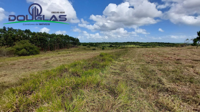 Imagem Chácara à Venda, 20.000 m² em águas Claras - Viamão