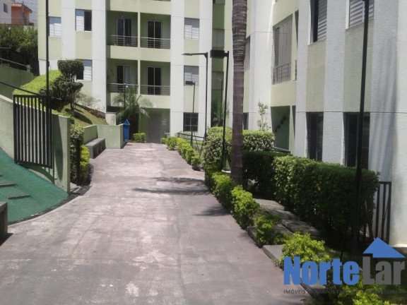 Imagem Apartamento com 3 Quartos à Venda, 60 m² em Vila Amélia - São Paulo Imagem Apartamento com 3 Quartos à Venda, 60 m² em Vila Amélia - São Paulo