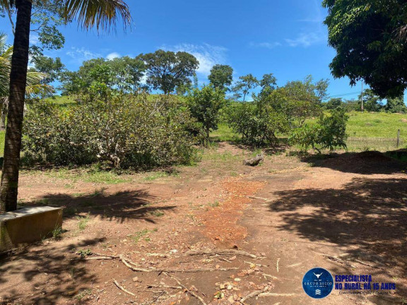 Imagem Chácara à Venda, 10 m² em Zona Rural - Pontalina Imagem Chácara à Venda, 10 m² em Zona Rural - Pontalina