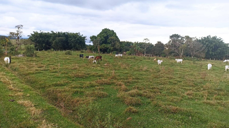 Imagem Fazenda à Venda, 100 m² em Estiva - Taubaté Imagem Fazenda à Venda, 100 m² em Estiva - Taubaté