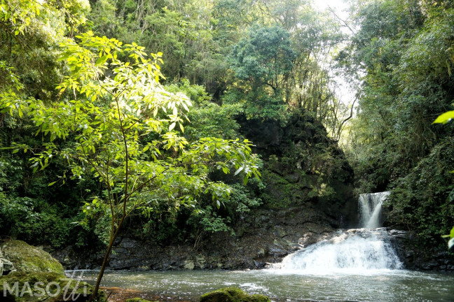 Imagem Chácara com 3 Quartos à Venda, 300.000.000 m² em Linha 28 - Gramado Imagem Chácara com 3 Quartos à Venda, 300.000.000 m² em Linha 28 - Gramado