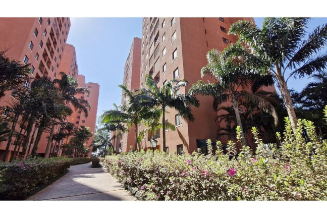 Imagem Apartamento com 3 Quartos à Venda, 64 m² em Campo Grande - São Paulo Imagem Apartamento com 3 Quartos à Venda, 64 m² em Campo Grande - São Paulo