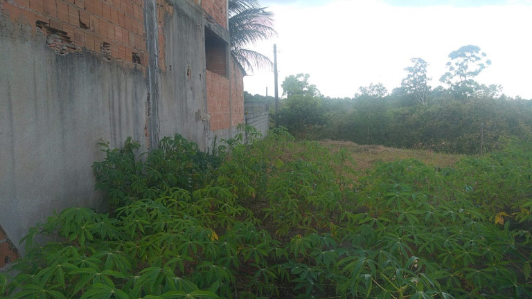Imagem Imóvel à Venda, 300 m² em Santa Cruz - Aracruz