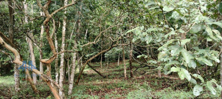 Imagem Terreno à Venda, 471 m² em Córrego Grande - Florianópolis