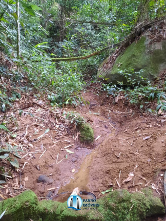 Imagem Imóvel com 2 Quartos à Venda, 71.000 m² em Parque Xerém - Duque De Caxias Imagem Imóvel com 2 Quartos à Venda, 71.000 m² em Parque Xerém - Duque De Caxias