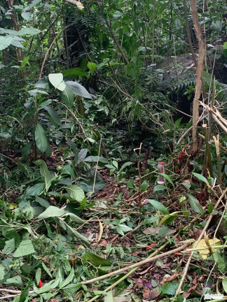 Terreno à Venda, 350 m² em Corcovado - Ubatuba