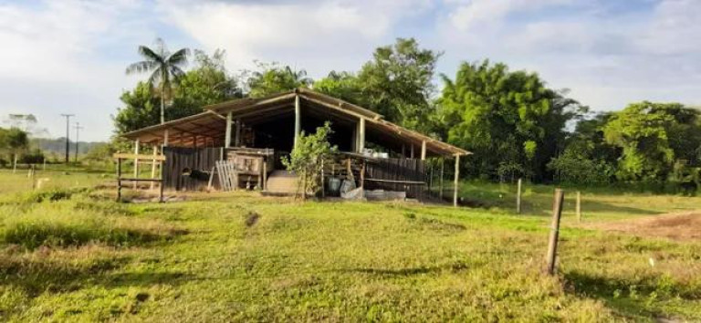Imagem Imóvel com 2 Quartos à Venda, 111.000 m² em Alexandra - Paranagua Imagem Imóvel com 2 Quartos à Venda, 111.000 m² em Alexandra - Paranagua